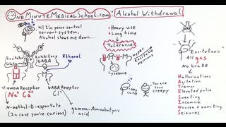 Alcohol Withdrawal Featuring Drunkbrain  One Minute Medical School [upl. by Levey]