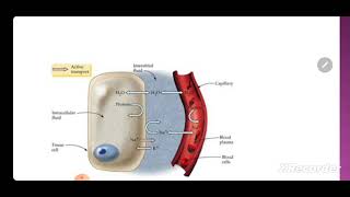 practical physiology of normal structure module Part 1 2025  Ficks principle [upl. by Hochman]