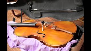 Pavane violin cello and piano [upl. by Toombs]