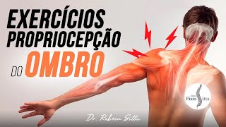 OMBRO EXERCÍCIOS PROPRIOCEPTIVOS PARA INSTABILIDADE GLENOUMERAL Clínica Fisioterapia Dr Robson Sitta [upl. by Forster700]