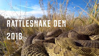 Rattlesnake Den 2018 [upl. by Kentigera]