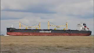 GEORG OLDENDORFF  Shipspotting Germany 🇩🇪 IMO 9702596  River Elbe near Otterndorf [upl. by Keverian]