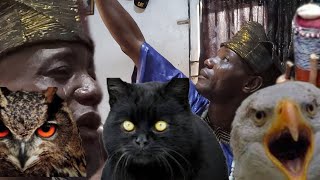 OGUN LAYE OTA OLAMI IS A CONFIRM BABA ALAWOMO FI OWO OGUNLAYE OTA OLAMI SOYA [upl. by Ramak465]