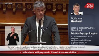 « Quelles réponses apportezvous à notre jeunesse  » demande Guillaume Gontard à Elisabeth Borne [upl. by Allegna825]