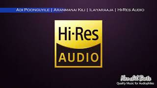 Adi Poonguyile  Aranmanai Kili  Ilaiyaraaja  Mano amp Minmini  HiRes Audio [upl. by Brose]