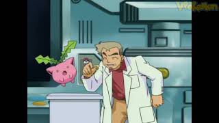 Professor Oak attacks Hoppip  Professor Oak Funny Moments [upl. by Jepson]