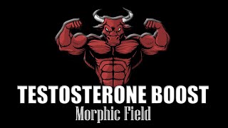 HUGE TESTOSTERONE BOOST  MORPHIC FIELD [upl. by Raffo111]