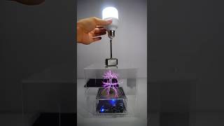 Tesla coil  glass box  hemar lighting bulb lightbulb teslacoil teslalovers [upl. by Eixirt]