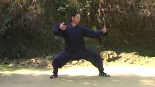 Master Chen Shiyu teaching Xuan Wu Quan  Part 1 [upl. by Bowden508]