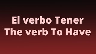 Verb To Have El Verbo Tener [upl. by Iatnahs328]