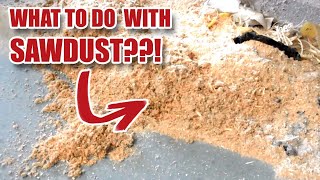 10 TIPS of what you can do with sawdust [upl. by Columbus]