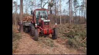 Belarus MTS 57050  Holz holen [upl. by Aluin]