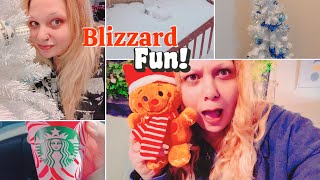 Vlog Fun in a blizzard amp starting holiday decorating [upl. by Fitalludba913]