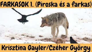 FARKASOK 1 rész  quotPiroska és a Farkasquot  beszélgetés Krisztina Gaylerrel és Czéher Györggyel [upl. by Olivie]