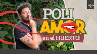 LANDRACE Polinización PROMISCUA en el huerto 😘 [upl. by Arbua]