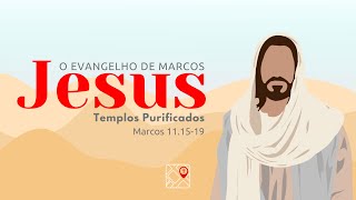 Templos Purificados  Marcos 111519  Matheus Borgert [upl. by Animehliw831]