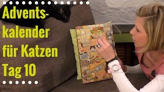 Adventskalender für Katzen Tag 10 [upl. by Trueman]