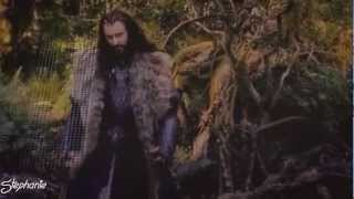 Thorin Fili Kili  DNA [upl. by Aliet]