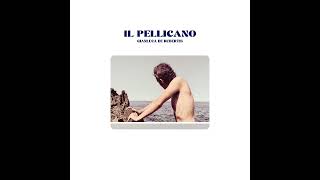 IL PELLICANO  Gianluca De Rubertis [upl. by Astera]