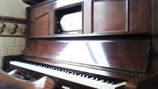 Fascination valse tzigane  T D Marchetti  Pianola Steck player piano [upl. by Aimehs]