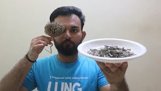 Nabi Booti Aur Maryam Booti Mein Farq   Review  Herb  Herbs For Female [upl. by Gadmon]