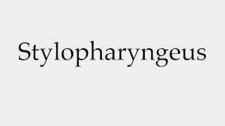 How to Pronounce Stylopharyngeus [upl. by Lrae357]