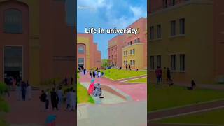 Life in university shortsfeed university [upl. by Melisande468]