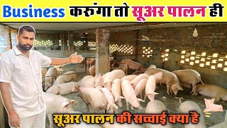 सूअर पालन का business ही करूंगा  Pig farm [upl. by Lyrem130]