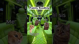 CAT MEMES 🐱Family Roadtrip P2 catmemes relatable shorts viralvideos [upl. by Ellehsim573]