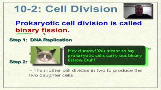 Chapter 10 Part 2  Prokaryotic Cell Division [upl. by Ruphina773]