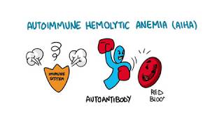 Autoimmune Hemolytic Anemia [upl. by Minetta]