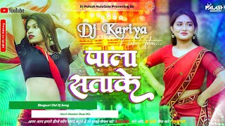 Pala Satake Pawan Singh Hard JhanKar Bass Mix By Dj Kariya NalaGola [upl. by Adlei]