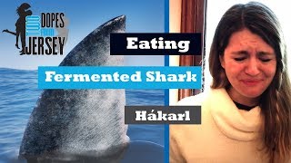 Eating Fermented Shark Hakarl [upl. by Worsham361]