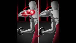 LEAST amp MOST EFFECTIVE BICEPS EXERCISE [upl. by Tamer]