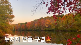 eng 미국에서 단풍 구경하기🍁 뉴저지 Mill Pond Park Grovers Mill Pond [upl. by Gio99]