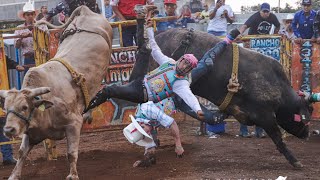 ¡SIN PIEDAD ESTOS TOROS Rancho Loco en Tecario Michoacán [upl. by Dilaw409]