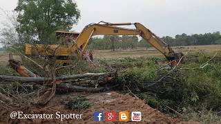 Cat Excavator E120B Digging Out Stump [upl. by Neural]