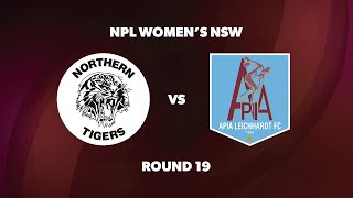 NPL Womens NSW Round 19 Northern Tigers FC v APIA Leichhardt FC [upl. by Pavior]