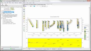 RTR 32212 Striplog Profiles [upl. by Orelia]