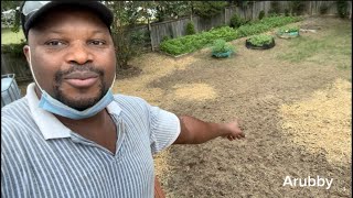 How to prepare and plant Fescue grass in fall [upl. by Itnahs]