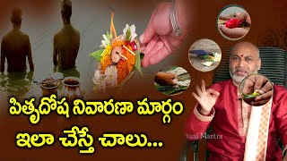 పితృ దోష నివారణ మార్గం  Pitru Dosha Nivarana Margam  Telugu Spiritual Mantra [upl. by Jard588]