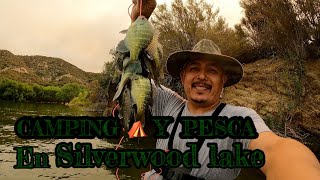 PESCANDO Y CAMPANDO EN SILVERWOOD LAKE fishing pesca fish ubaldosfishing1913 [upl. by Eniruam168]