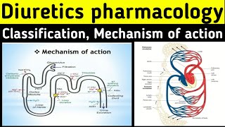 Diuretics pharmacology  Mechanism of action  Classification  Thiazide diuretics pharmacology [upl. by Anead185]