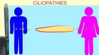 CILIOPATHIES [upl. by Aral269]