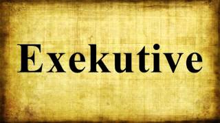 Exekutive [upl. by Drabeck]