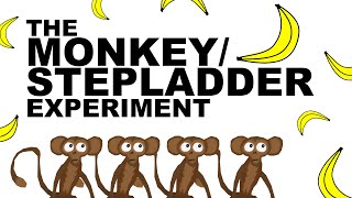 THE MONKEYSTEPLADDER EXPERIMENT [upl. by Dickerson]