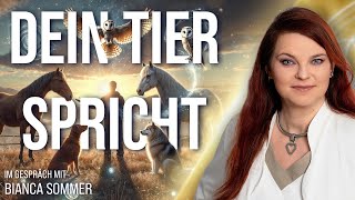 Erkenne Dein Tier – Erkenne Dich selbst  Bianca Sommer im Gespräch [upl. by Stephanus589]