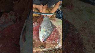 How To Make Katla Carp Fish Cutting Skills In Expert Cutter 😱😱 shorts [upl. by Odlavso]