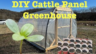 DIY Cattle Panel GREENHOUSE Under 300 Bucks Full Build [upl. by Idissak]