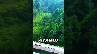 UnLugar Perfecto Para Los Amantes De La Naturaleza turisteandoconvinnie viajes travel edomex [upl. by Nedearb]